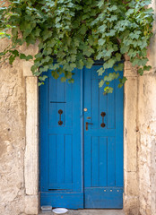 Fototapeta na wymiar Blue. Door. Old Town. Architecture. Istria. Grapevine