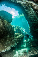 Scuba diving in the Casa Cenote, Tulum, Mexico