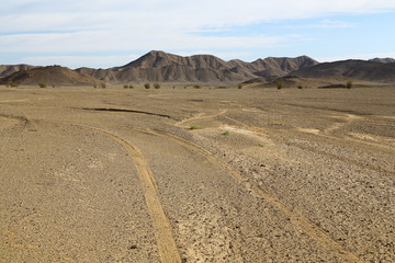 in the middle of the desert