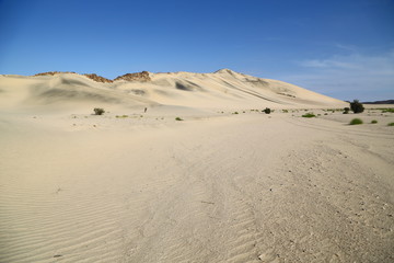 in the middle of the desert