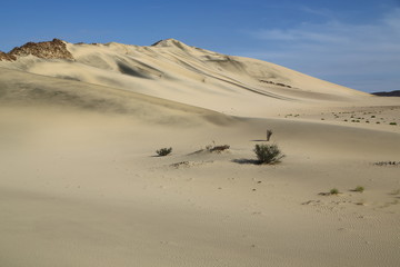 Fototapeta na wymiar in the middle of the desert
