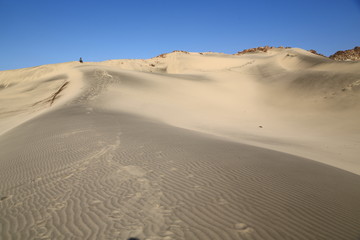 in the middle of the desert