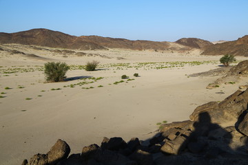 in the middle of the desert
