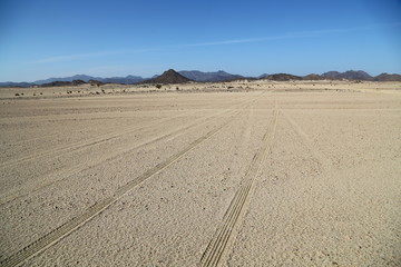 in the middle of the desert