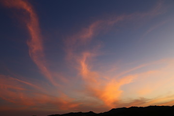 the light of the sunrise in the  desert