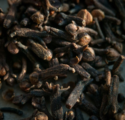 Dried cloves. Spice for food. Instagram format