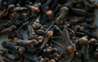 dried cloves. spice