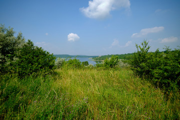 Natur am Großkaynaer See oder Südfeldsee  bei Großkayna - einem ehemaligen Tagebau - in der...