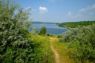 Natur am Großkaynaer See oder Südfeldsee  bei Großkayna - einem ehemaligen Tagebau - in der...
