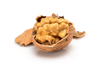 Broken ripe walnut, kernel and shell, close up macro, isolated on a white background.