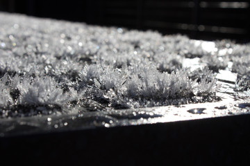 Frozen Table