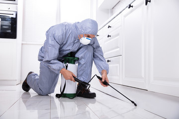 Exterminator In Work Wear Spraying Pesticide In Kitchen