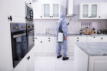 Worker Spraying Insecticide Chemical In Kitchen