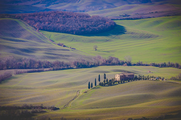Naklejka premium Tuscany landscape