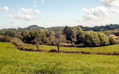 Obraz premium Rural village in the Austrian Alps on a cloudy day