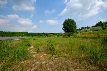 Natur am Großkaynaer See oder Südfeldsee  bei Großkayna - einem ehemaligen Tagebau - in der Nähe von Merseburg, Burgenlandkreis und Saalkreis, Sachsen-Anhalt, Deutschland