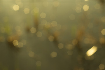 abstract bokeh background