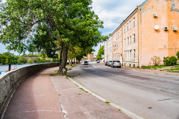 Tree and road