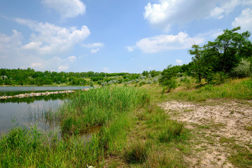 Natur am Großkaynaer See oder Südfeldsee  bei Großkayna - einem ehemaligen Tagebau - in der...