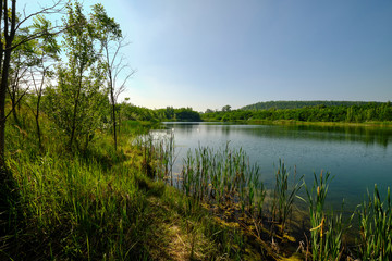 Natur am Geiseltalsee - einem ehemaligen Tagebau - in der Nähe von Merseburg, Sachsen-Anhalt,...