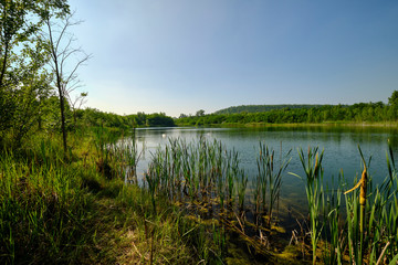 Natur am Geiseltalsee - einem ehemaligen Tagebau - in der Nähe von Merseburg, Sachsen-Anhalt, Deutschland
