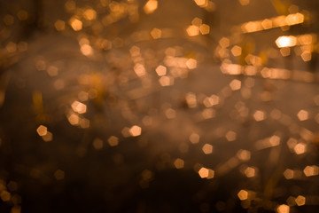 abstract bokeh background