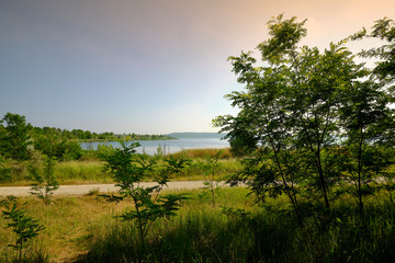Natur am Geiseltalsee - einem ehemaligen Tagebau - in der Nähe von Merseburg, Sachsen-Anhalt,...