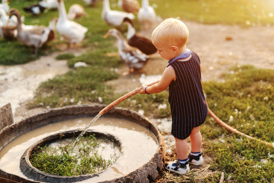 Toddler playing with hose. In background ducks and hens. Countryside exterior.