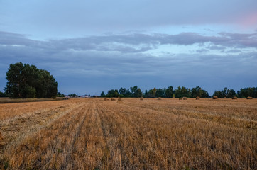 Fototapeta premium Straw bales on farmland with pink sunset sky