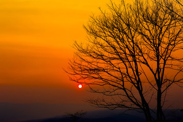 Bangkok,Autumn, Backgrounds, Beauty