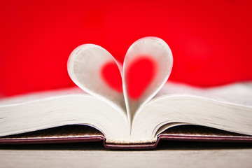 Bible and day in love