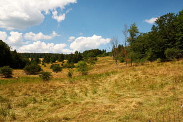Fototapeta premium Am Bauersberg, Biosphärenreservat Rhön, Bischofsheim a.d.Rhön, Landkreis Rhön-Grabfeld, Unterfranken, Franken, Bayern, Deutschland.