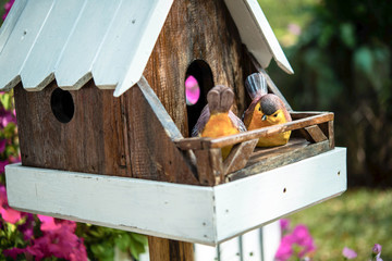 bird house in the garden