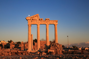 Fototapeta premium ruins of the roman forum