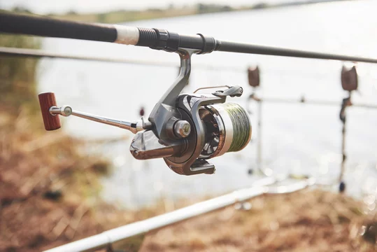 Carp fishing rods standing on special tripods. Expensive coils and a radio  system of crochet Stock Photo