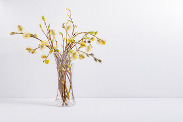 Obraz premium Willow branches in a vase