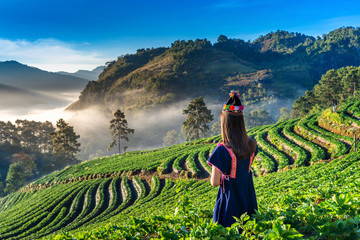 Woman wearing hill tribe dress in strawberry garden on Doi Ang Khang , Chiang Mai, Thailand. - obrazy, fototapety, plakaty
