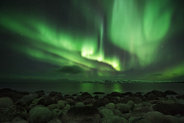 Northern light at the shore of the Barents sea. Rocky shore nearby of Murmansk.