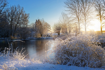 frozen lake and snow covered bushes after sunrise, landscape on a cold winter day, copy space