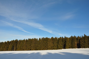 Winter in Ernstthal