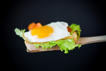 fresh sandwich with lettuce leaves and fried egg with hot toasts