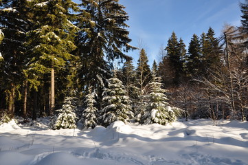 Winter in Ernstthal