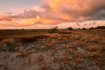 .Abend am Darßer Ort an der Ostsee in der Kernzone des Nationalpark Vorpommersche Boddenlandschaft am Darßer Weststrand, Mecklenburg Vorpommern, Deutschland.