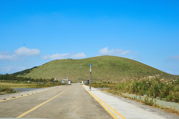 A road with flame grasses on the side, heading towards the Oreum at Jeju island, South Korea