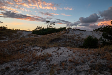 .Abend am Darßer Ort an der Ostsee in der Kernzone des Nationalpark Vorpommersche Boddenlandschaft am Darßer Weststrand, Mecklenburg Vorpommern, Deutschland.