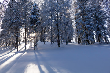 Majestic sunset in the winter mountains landscape. Dramatic sky.