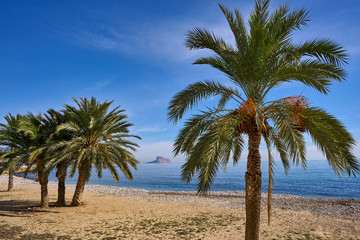 Fototapeta na wymiar Altea beach Playa La Roda in Alicante