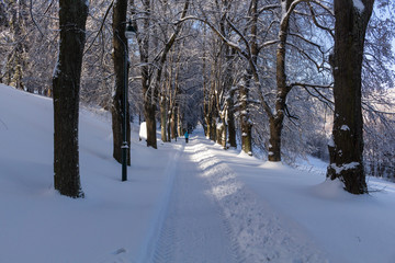 Obraz premium Winter road stretches into the distance and the snow-covered forest