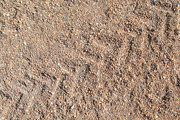 Background of river pebbles
