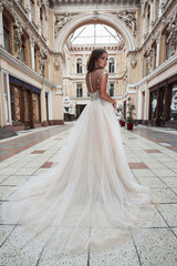 Obraz premium Beautiful, elegant bride with a perfect wedding dress, poses around beautiful architecture.